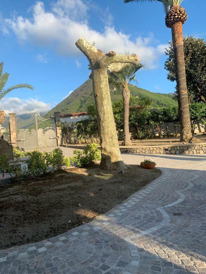 Villa Lucia Terrazza Panoramica Castellammare di Stabia Buitenkant foto